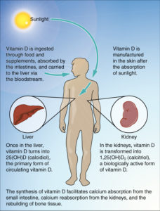 3 Weight Loss Benefits of Vitamin D And How to Get It